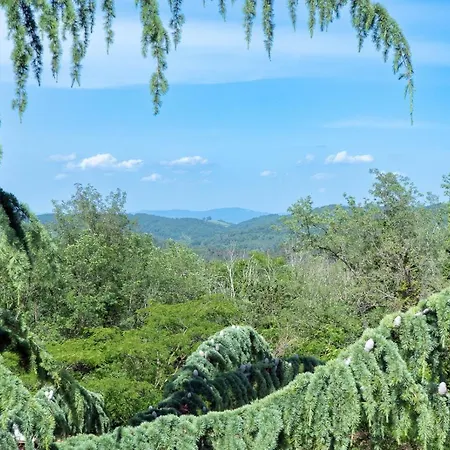 Vila Julijud, Heated Pool, Jacuzzi, Dome And Sauna