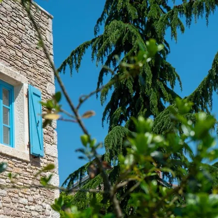 Julijud, Heated Pool, Jacuzzi, Dome And Sauna Villa Brajkovici (Pazin)
