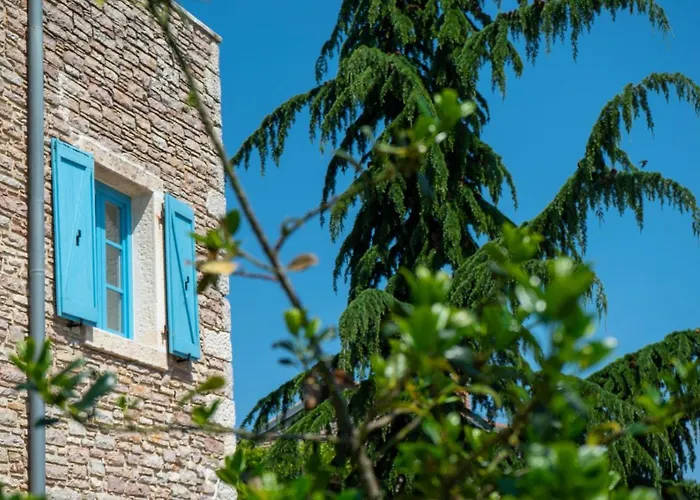 Julijud, Heated Pool, Jacuzzi, Dome And Sauna Villa Brajkovici (Pazin)